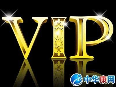 vip 意思|重要人物